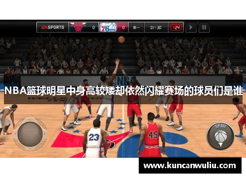 NBA篮球明星中身高较矮却依然闪耀赛场的球员们是谁